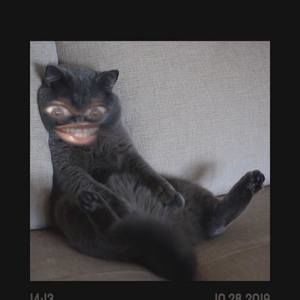 Meet your Posher, Fred